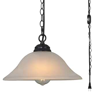 FACTORY SPOT 照明 NORMANTON PENDANT LIGHT 51S5AU+UpkL._UF350,350_QL50_.jpg